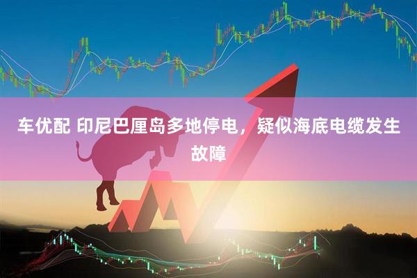 车优配 印尼巴厘岛多地停电，疑似海底电缆发生故障