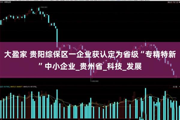 大盈家 贵阳综保区一企业获认定为省级“专精特新”中小企业_贵州省_科技_发展