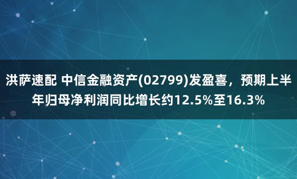 洪萨速配 中信金融资产(02799)发盈喜，预期上半年归母净利润同比增长约12.5%至16.3%