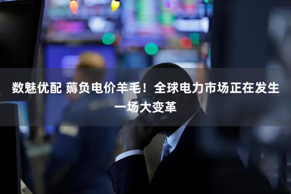 数魅优配 薅负电价羊毛！全球电力市场正在发生一场大变革