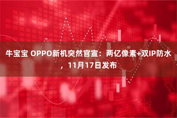 牛宝宝 OPPO新机突然官宣：两亿像素+双IP防水，11月17日发布