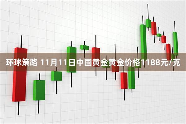 环球策路 11月11日中国黄金黄金价格1188元/克